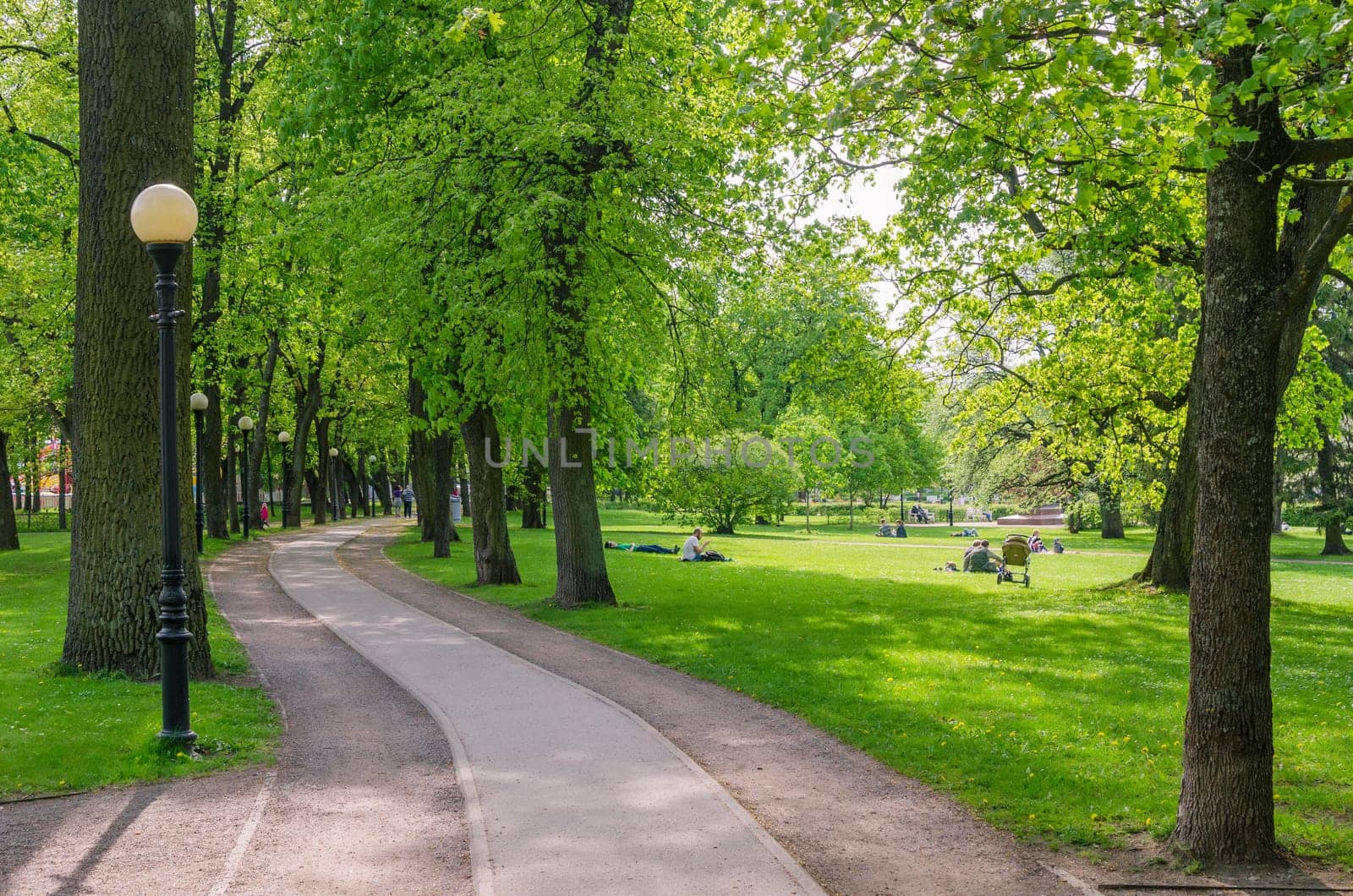 TALLINN, ESTONIA - MAY 15: Picturesque alley in spring time Kadriorg park on May 15, 2016 in Tallinn, Estonia.