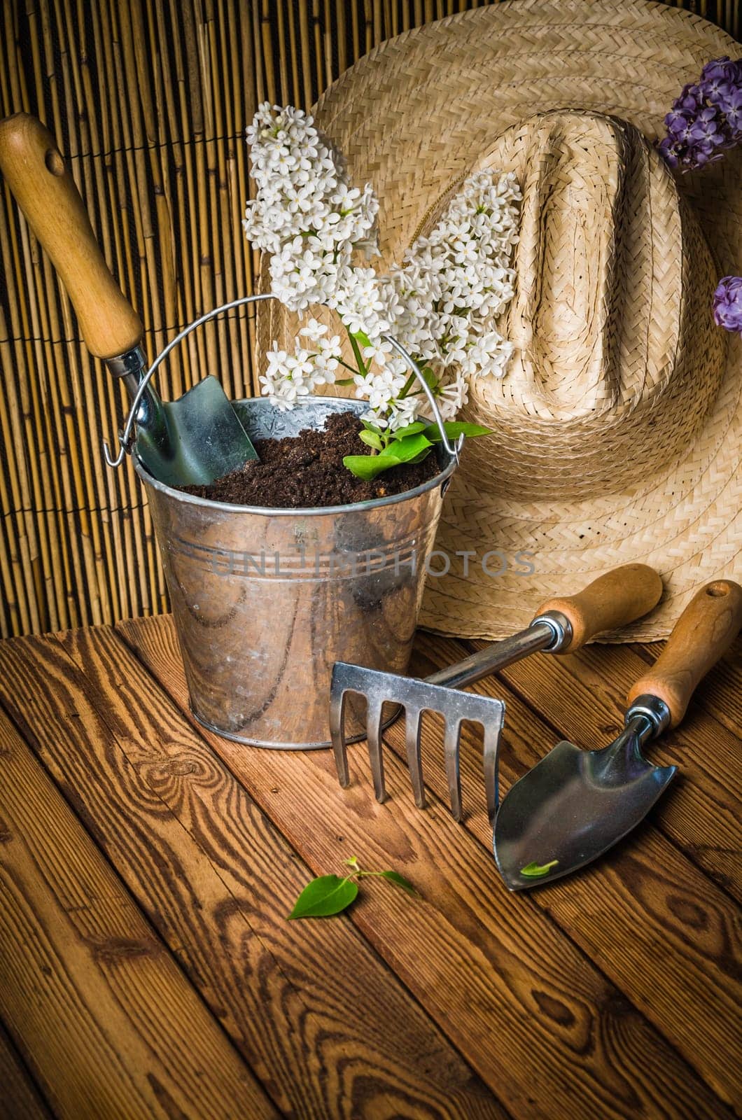 Gardening tools and a branch of a blossoming white lilac on a wooden surface