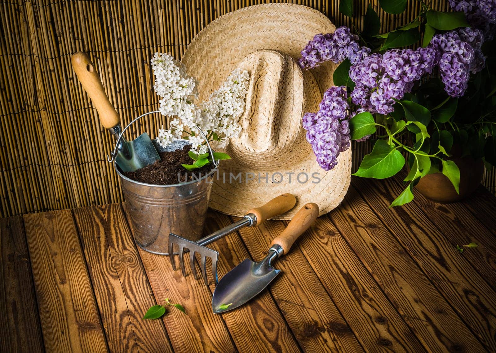 Gardening tools and a branch of a blossoming white lilac on a wooden surface