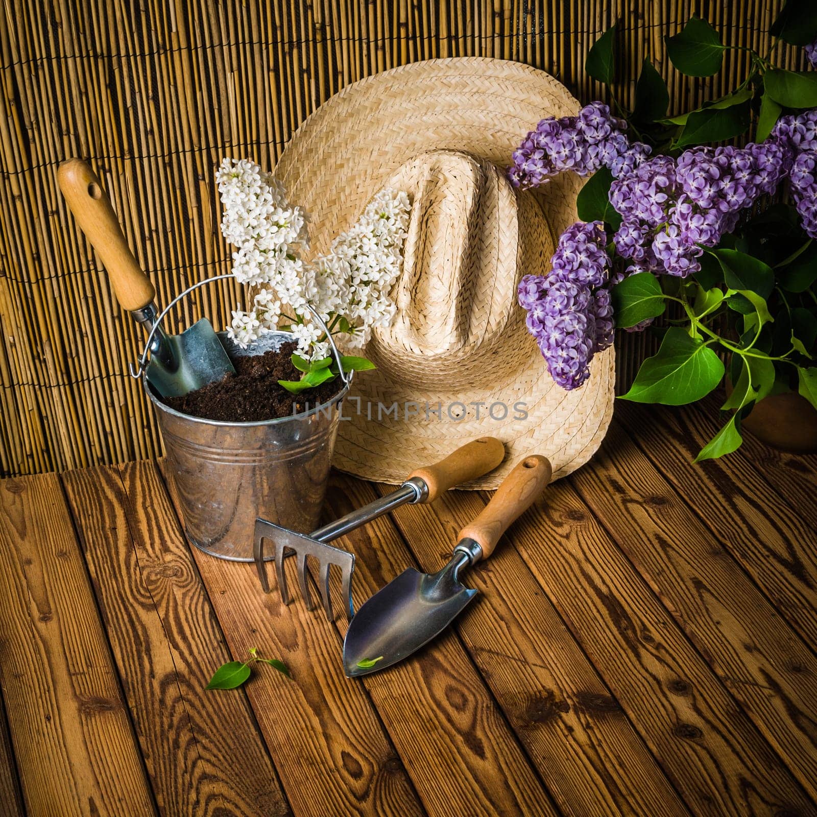 Gardening tools and a branch of a blossoming white lilac on a wooden surface