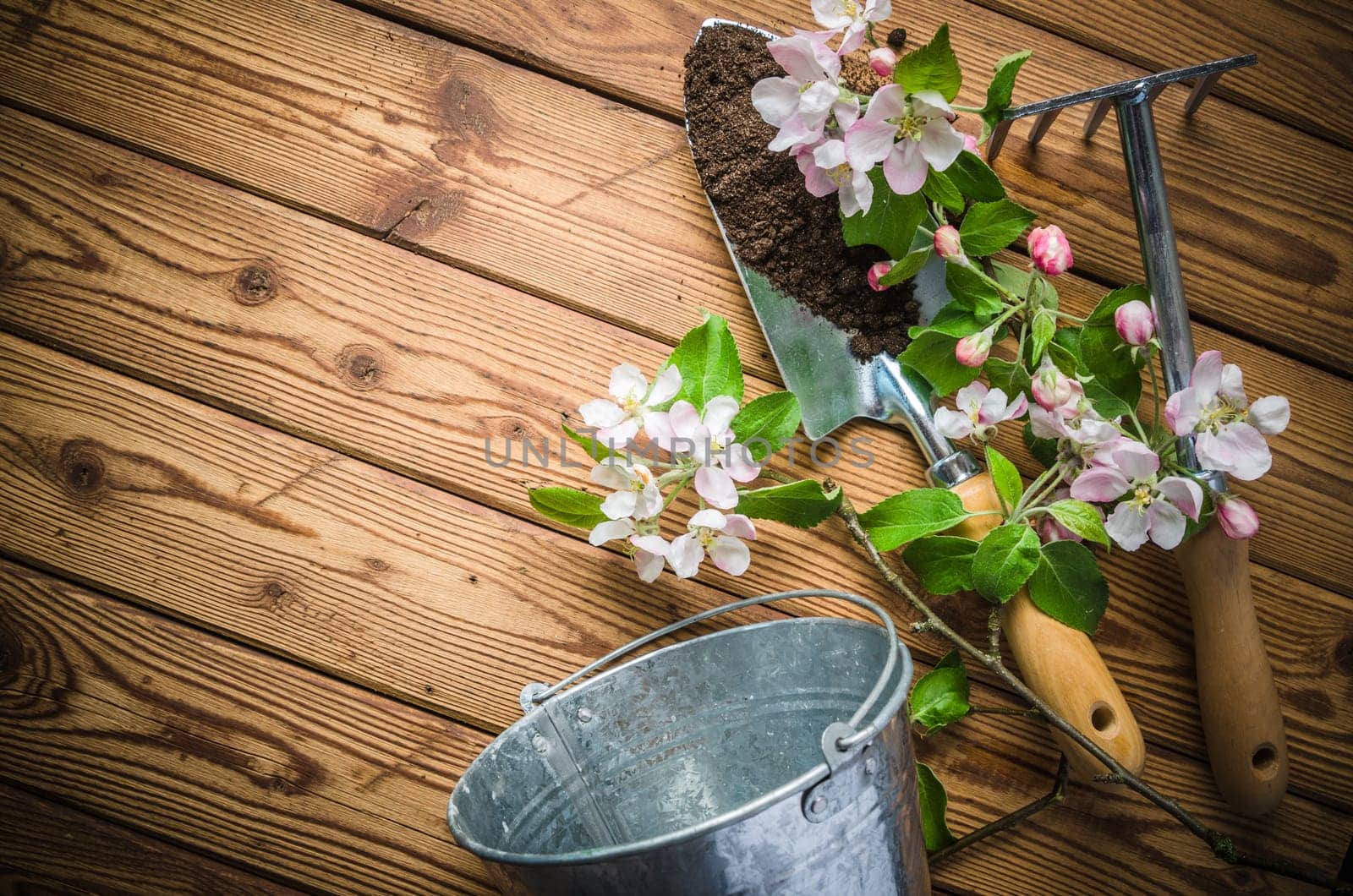 Branch of blossoming apple and garden tools on a wooden surface, close-up