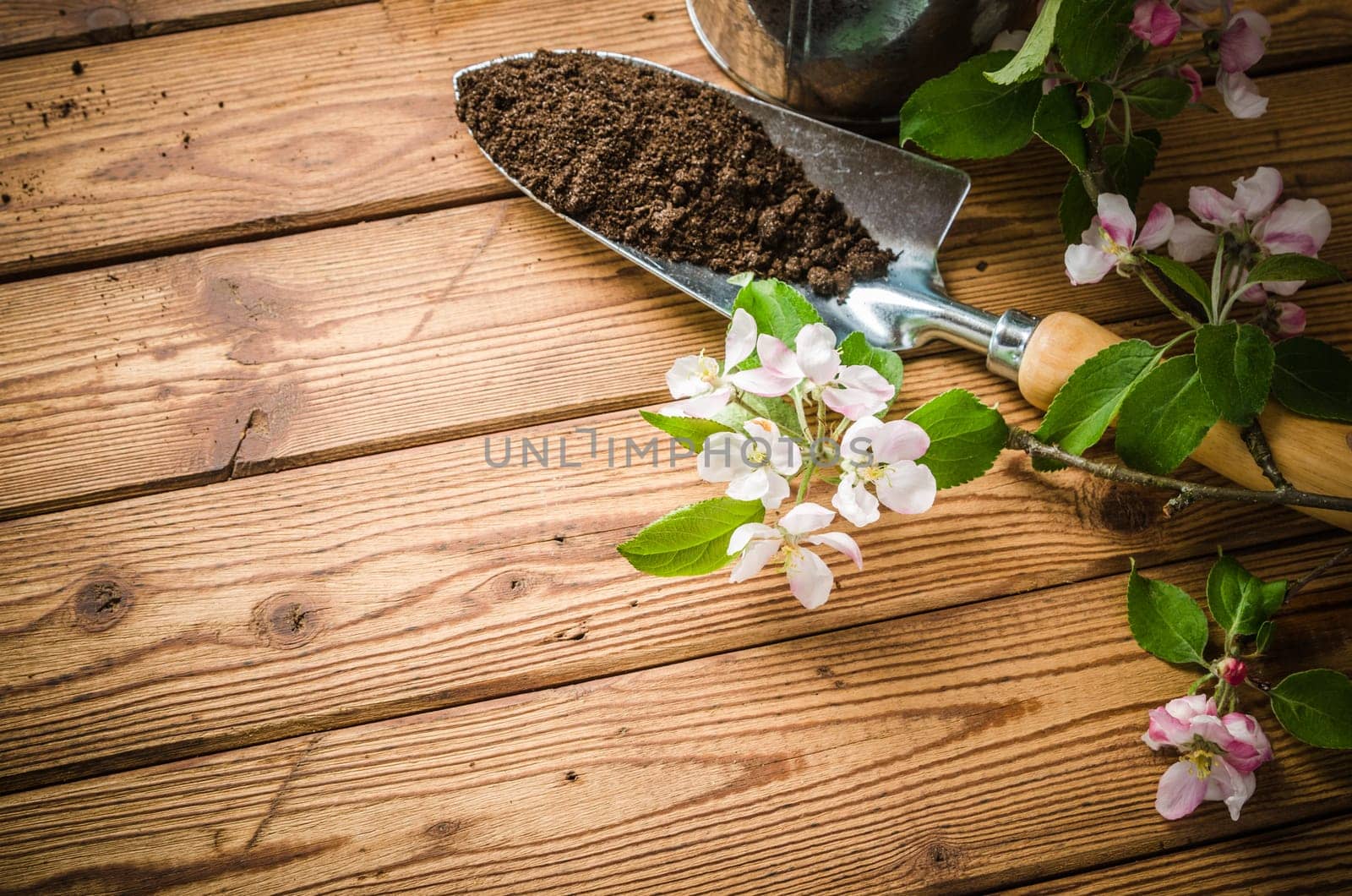 Branch of blossoming apple and garden tools on a wooden surface, close-up