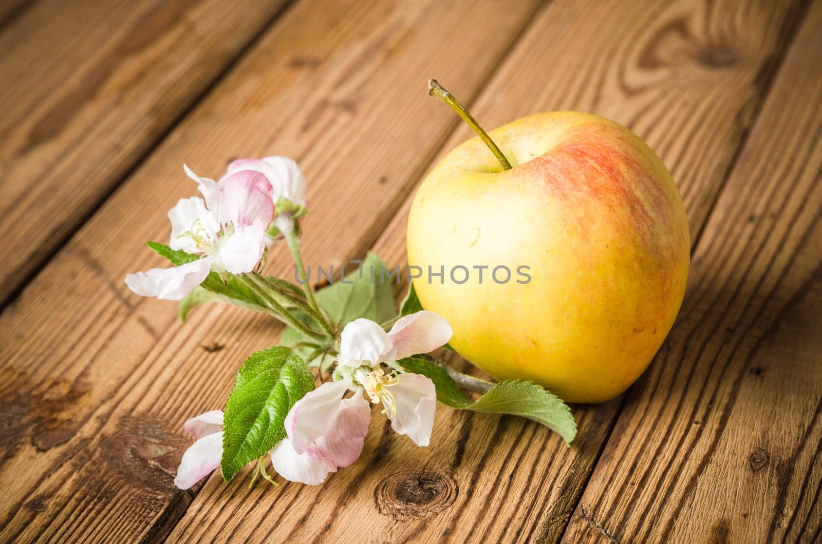 Ripe apple and blossoming branch of an apple-tree on a wooden surface, close-up