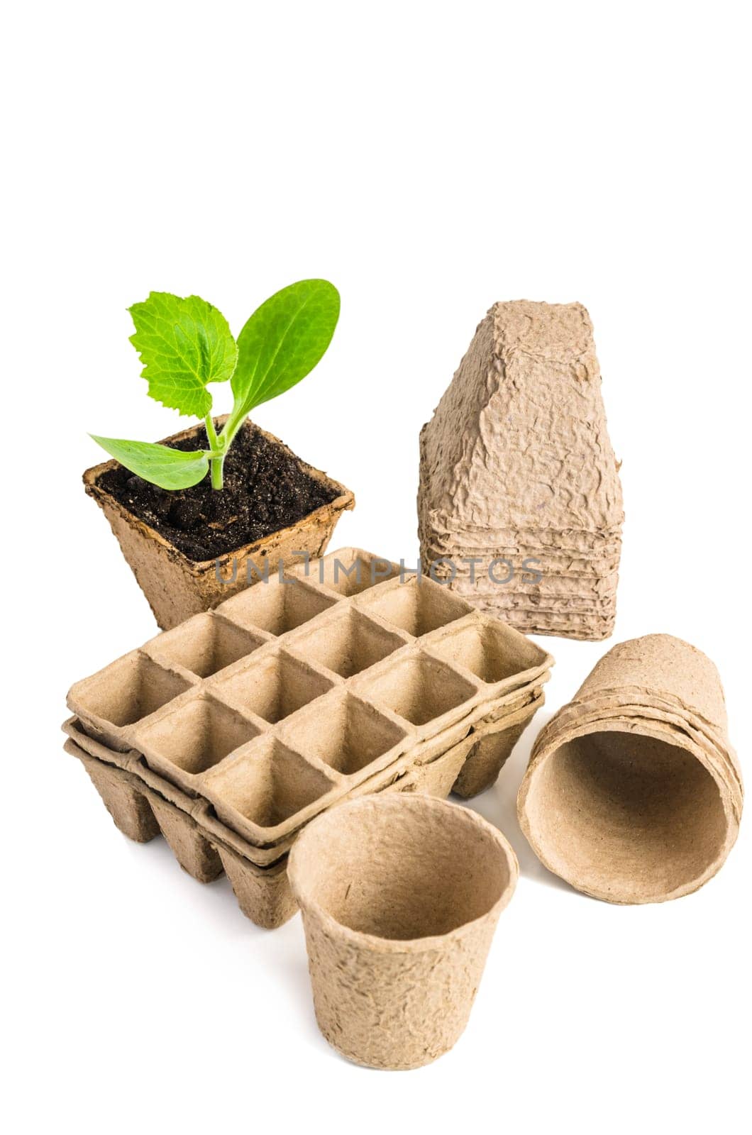 Garden tools for planting, isolated on white