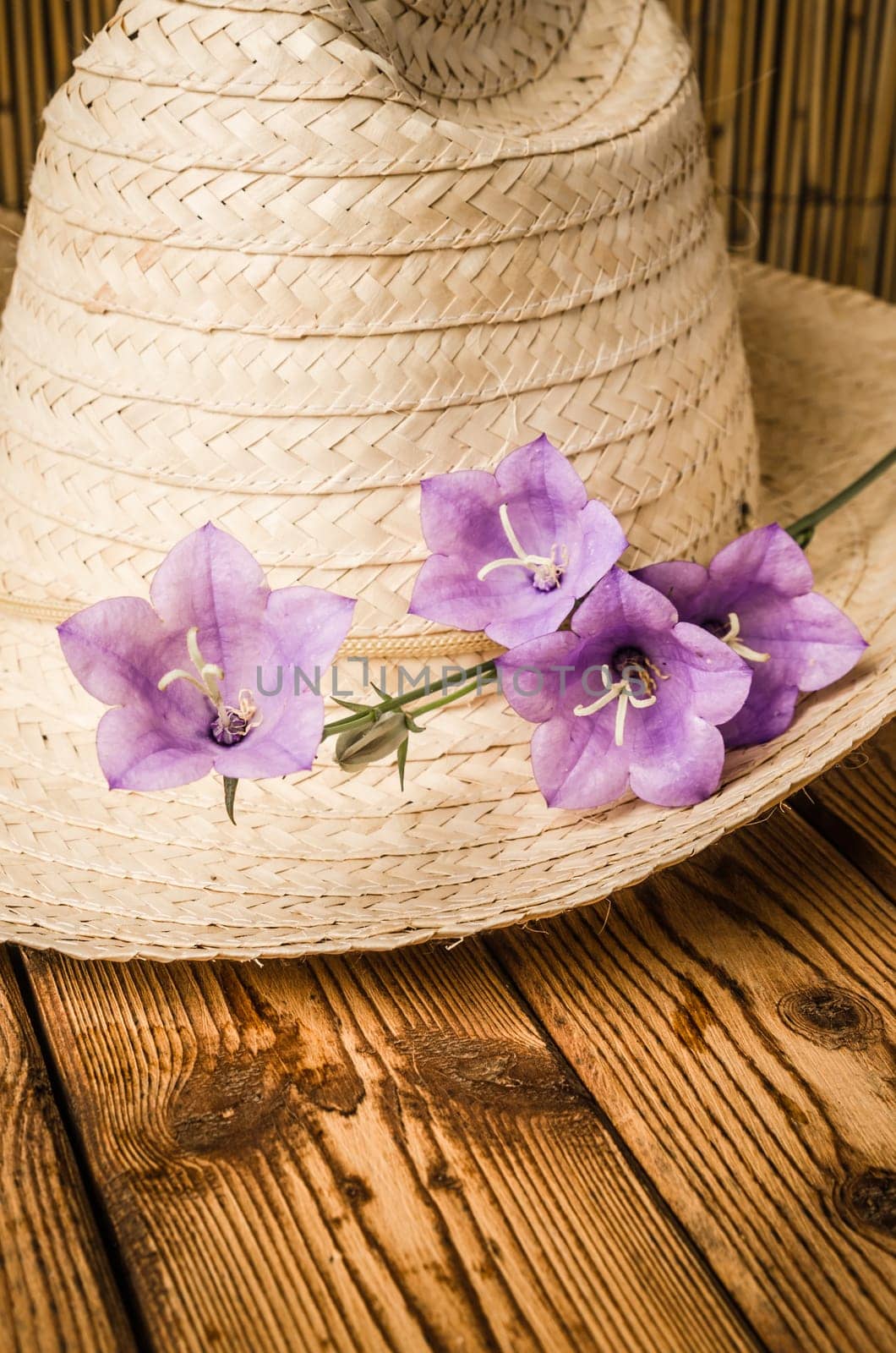 Straw hat and flowering campanula, close-up