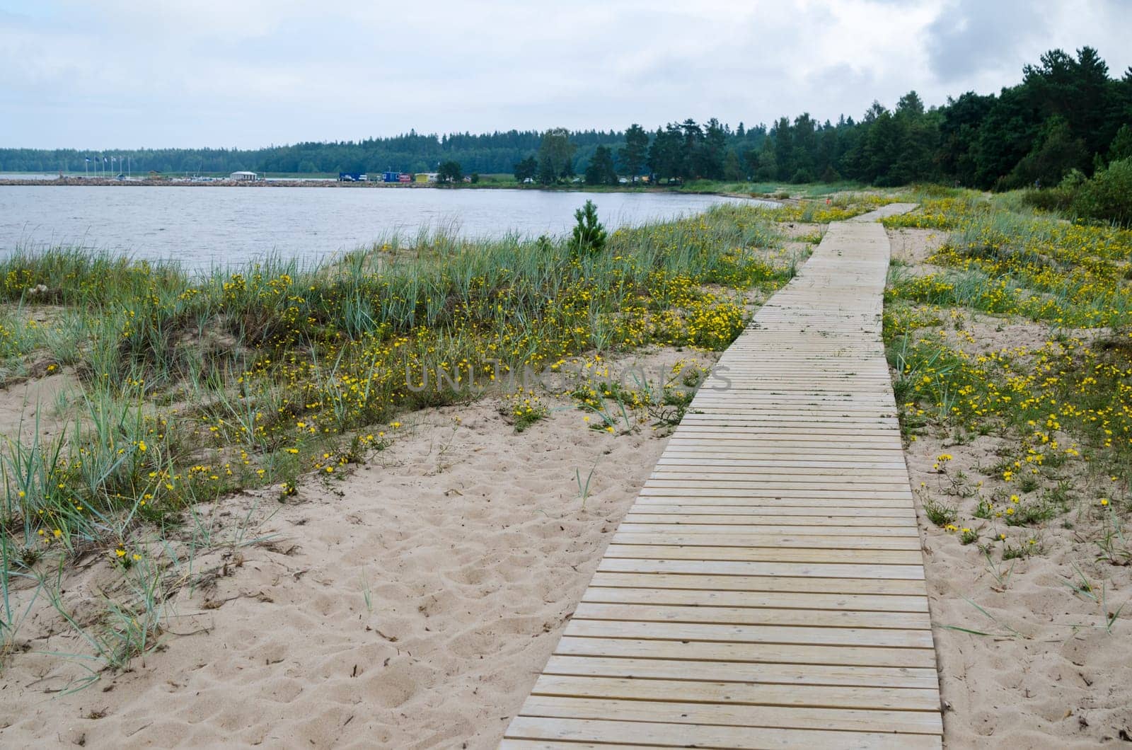 Wooden path along the sandy shore of the Baltic Sea