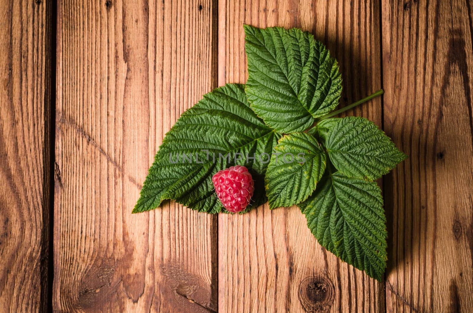 Berry raspberries with leaves on a wooden surface, close-up