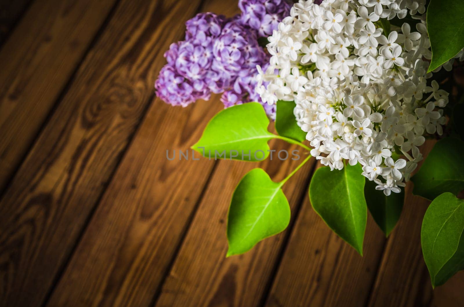 Still-life with a bouquet of lilacs, close-up
