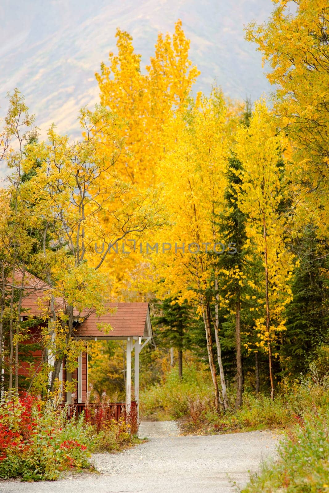 A porch juts out into the path below the trees with autumn leaves