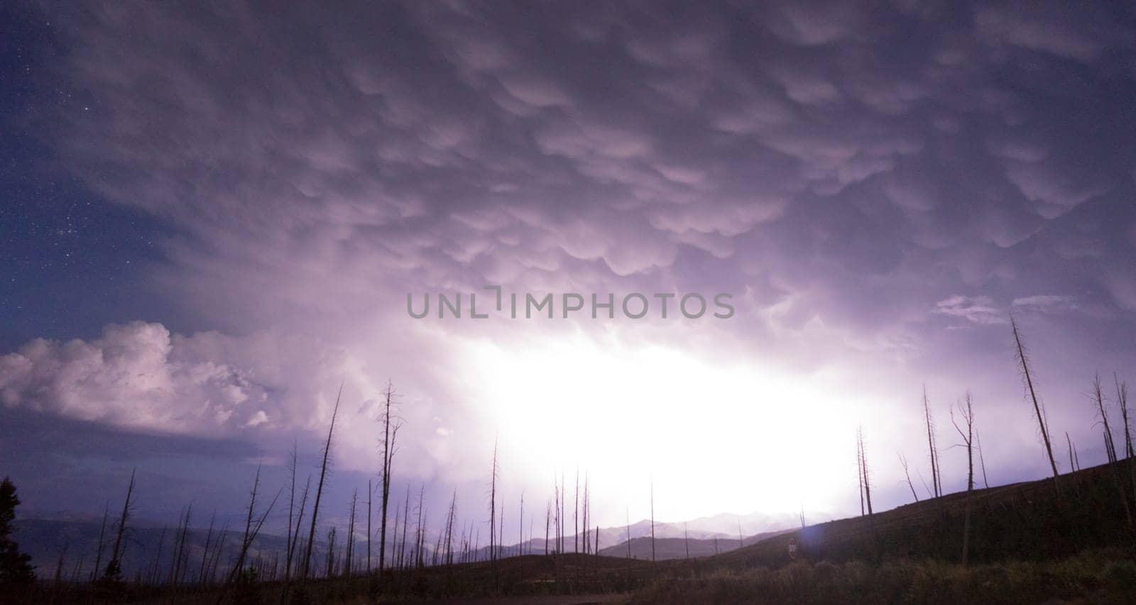 A storm passes thru quickly near Chittenden Road in Yellowstone revealing previously burned trees from lightning strikes