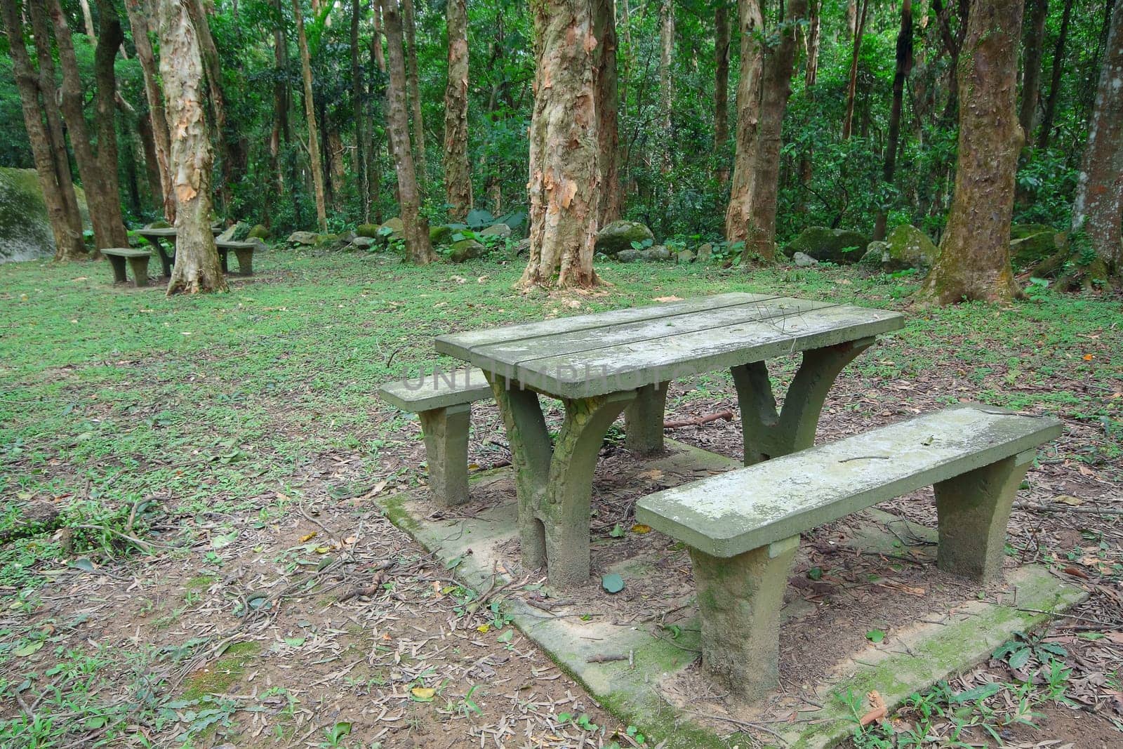Picnic place in forest