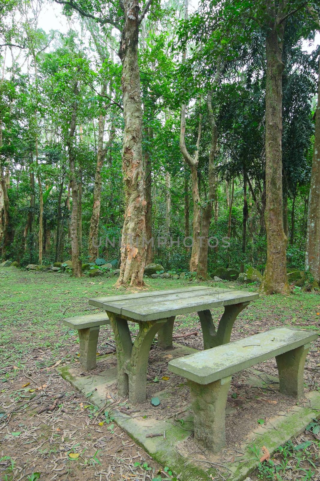Picnic place in forest