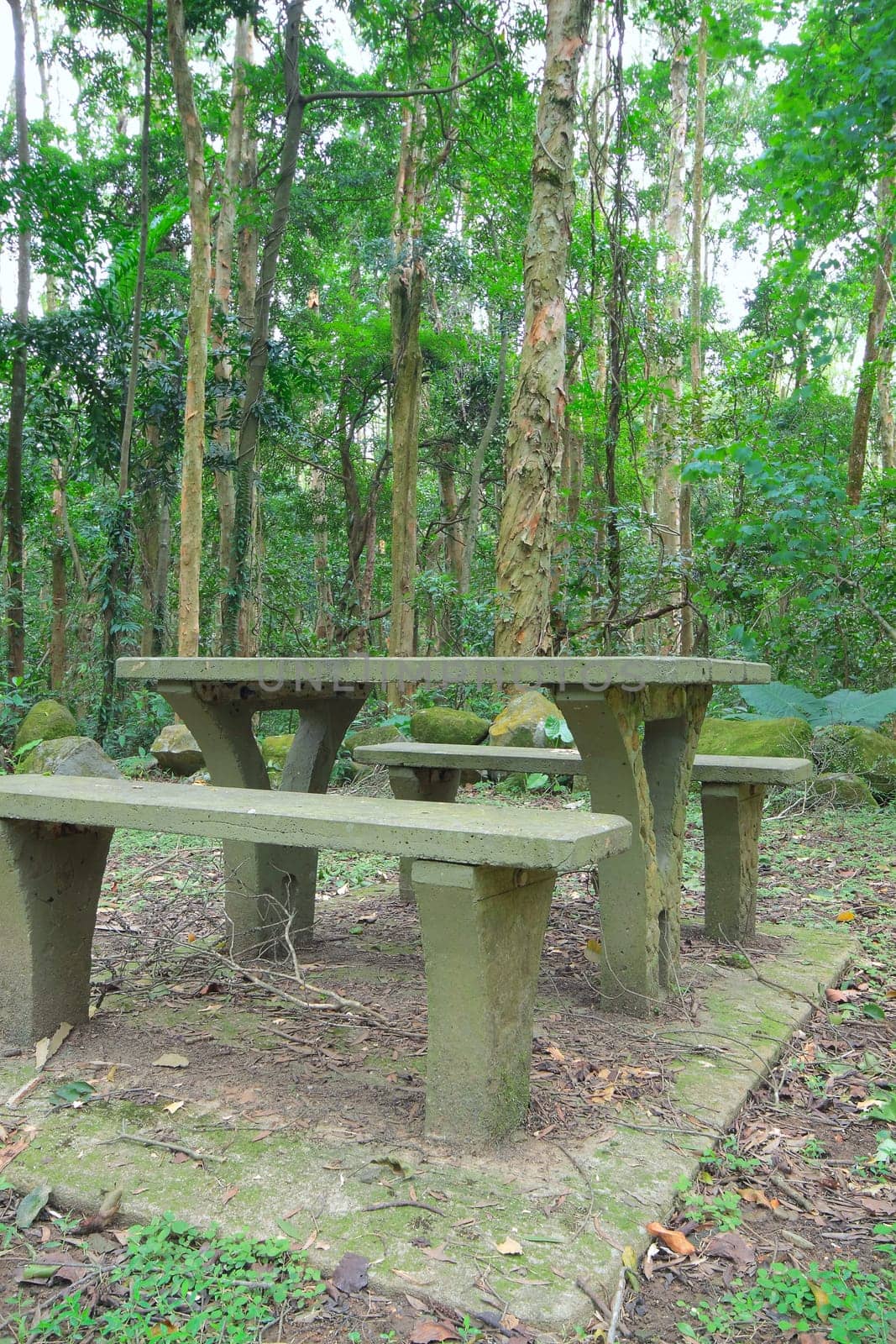 Picnic place in forest