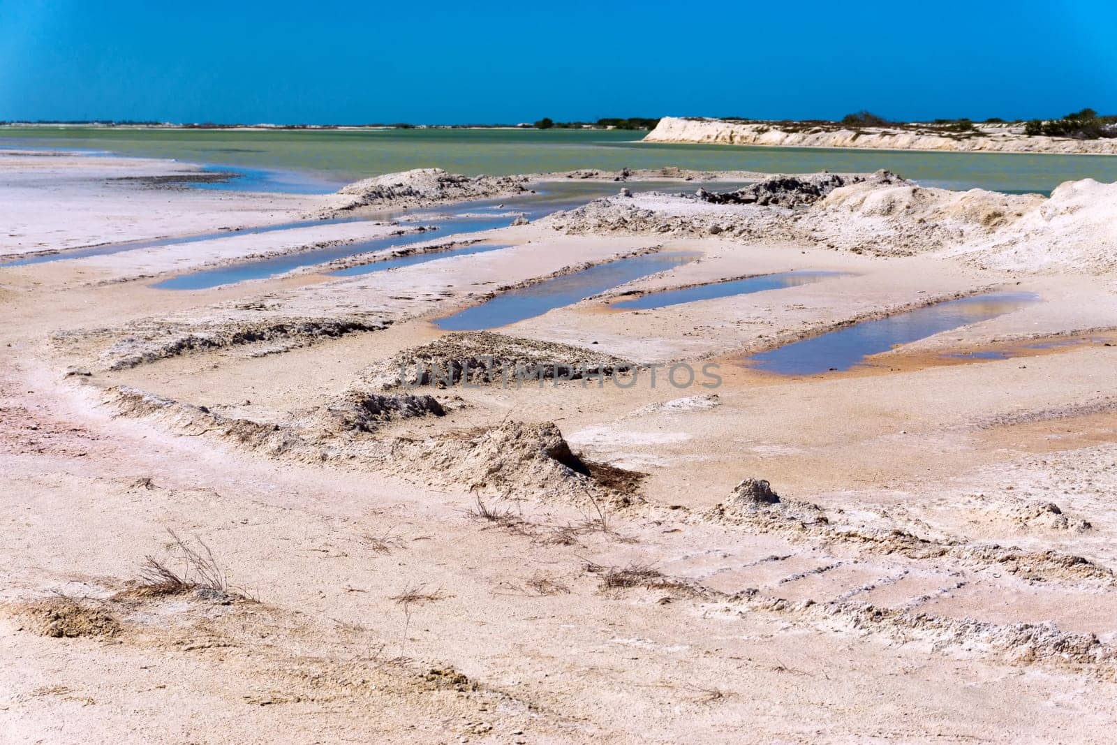Landscape of dry dirt and pools of water in Rio Lagartos, Mexico