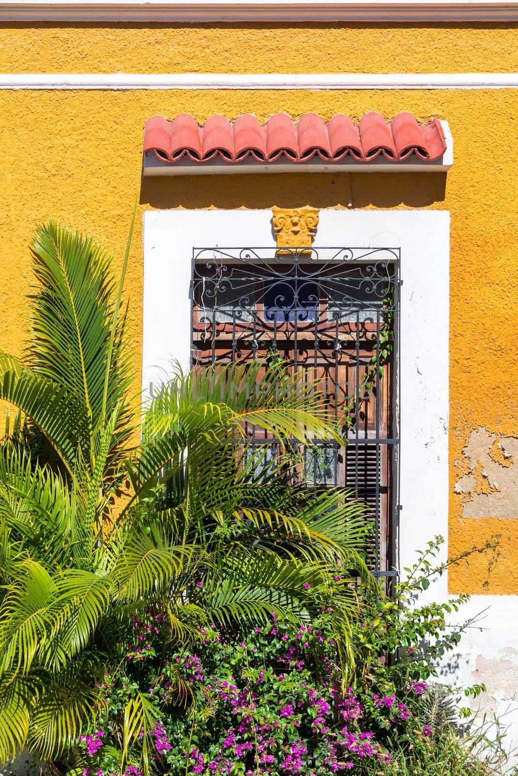 Yellow colonial building with lush green foliage in Campeche, Mexico