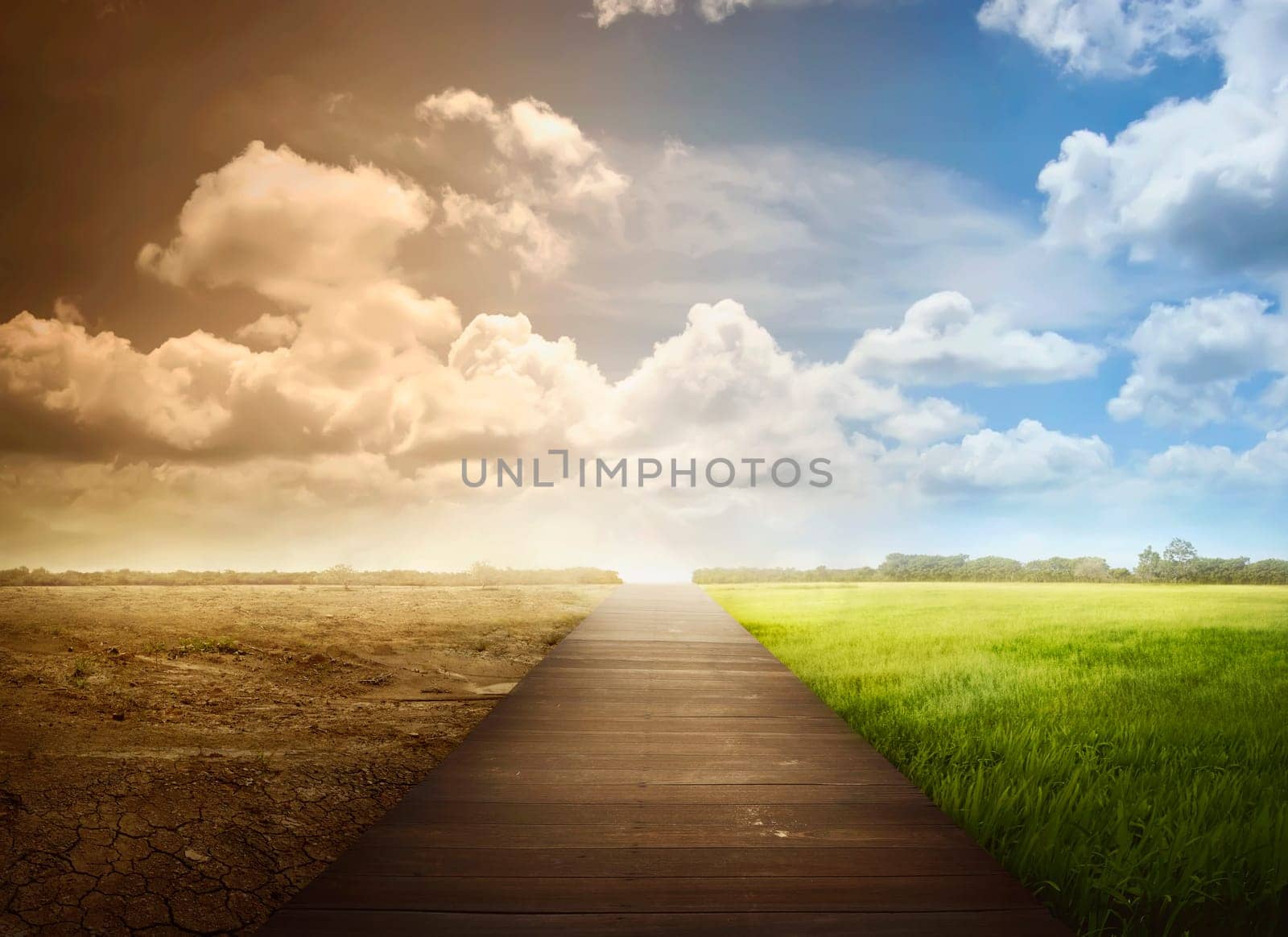 Landscape of wooden pathway with the changing environment. Concept of climate change.