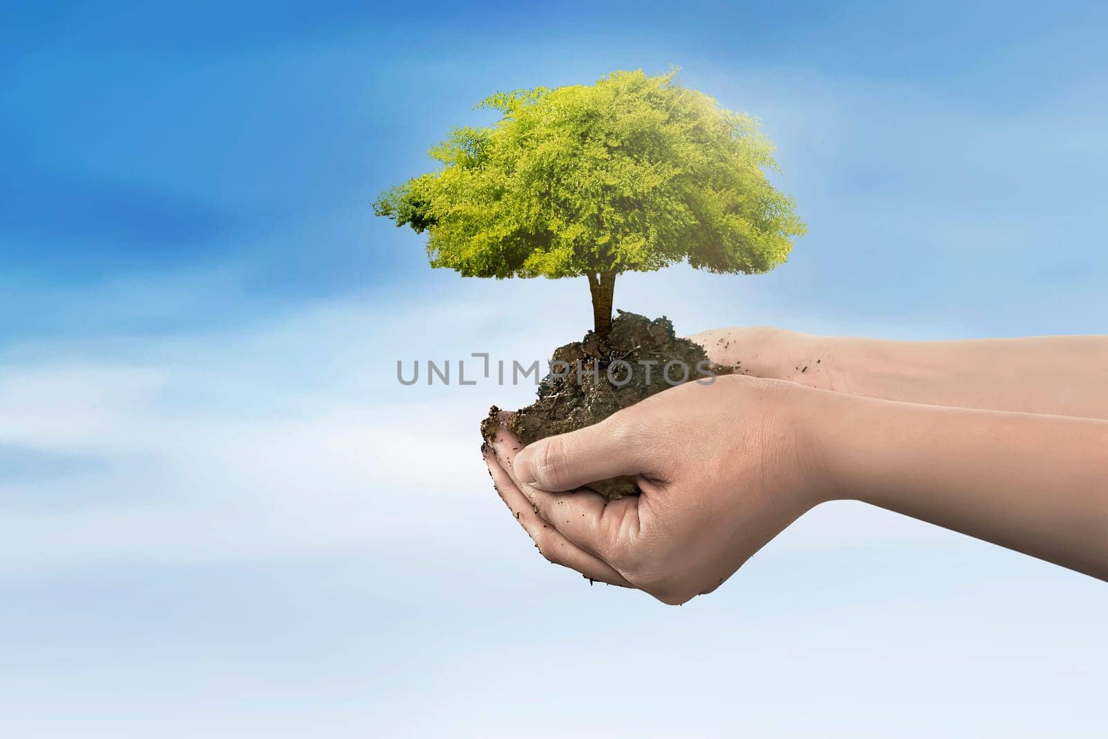 Hand holding tree plant on soil over blue sky background
