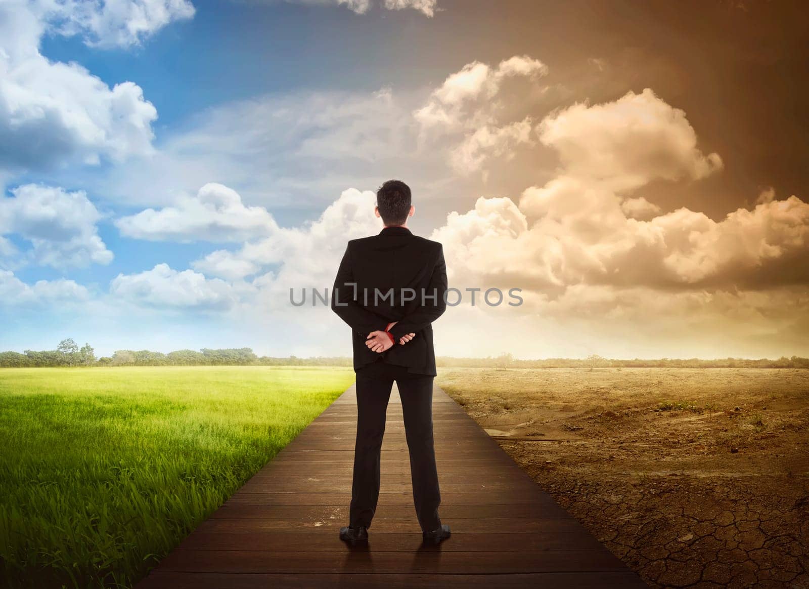 Rear view of business man standing between the changing environment. Concept of climate change.