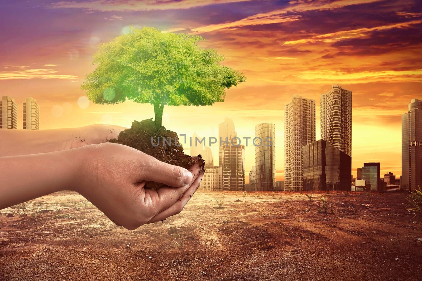 Hand holding tree plant on soil with climate change background