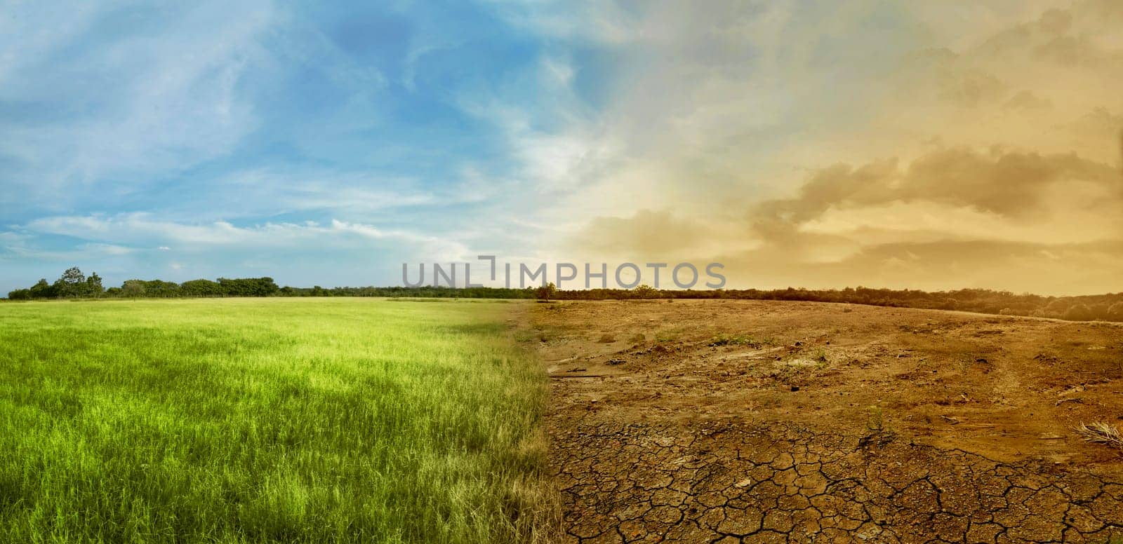 Landscape of meadow field with the changing environment concept of climate change