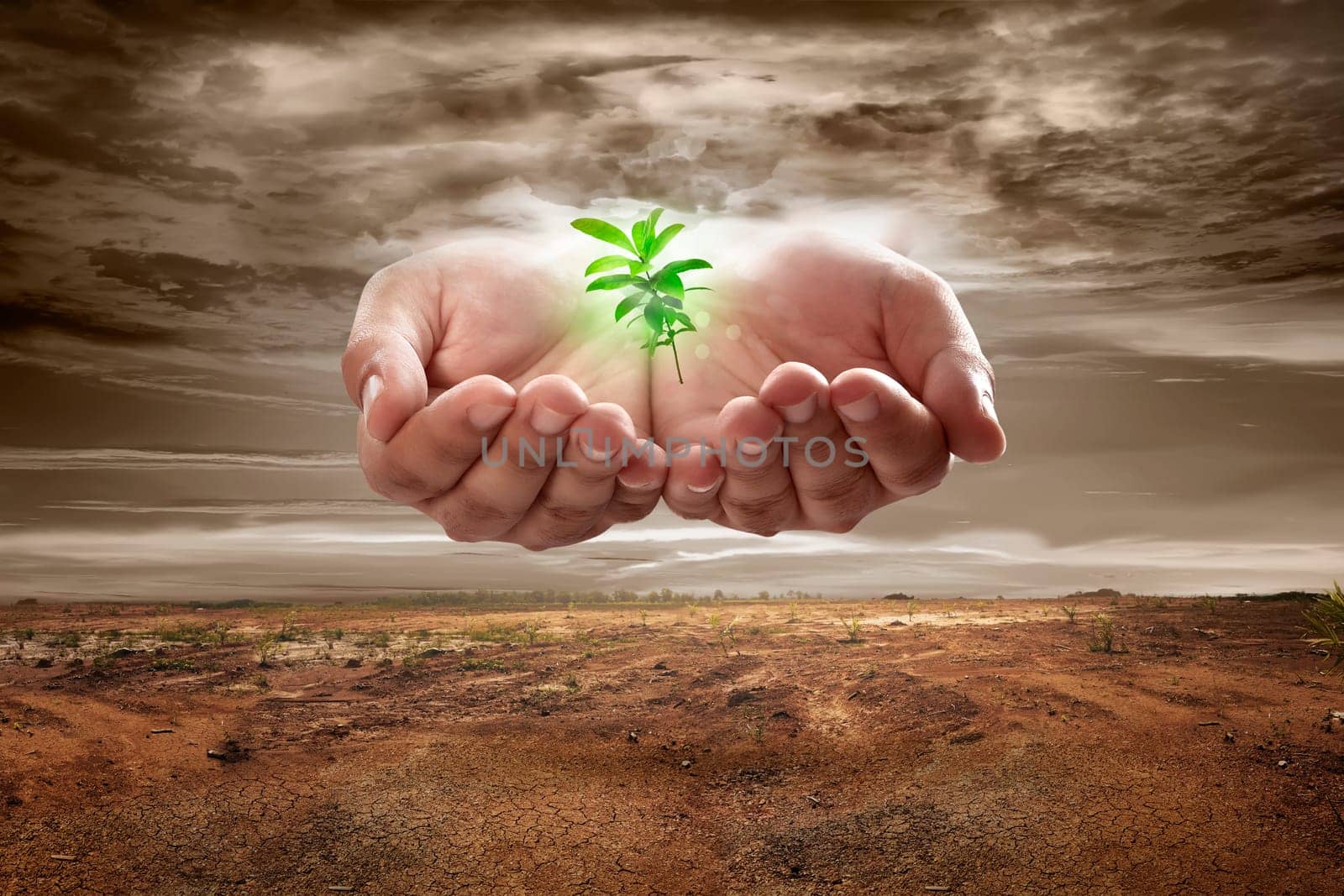Hand from sky holding plant on soil on dry land. Climate change concept.
