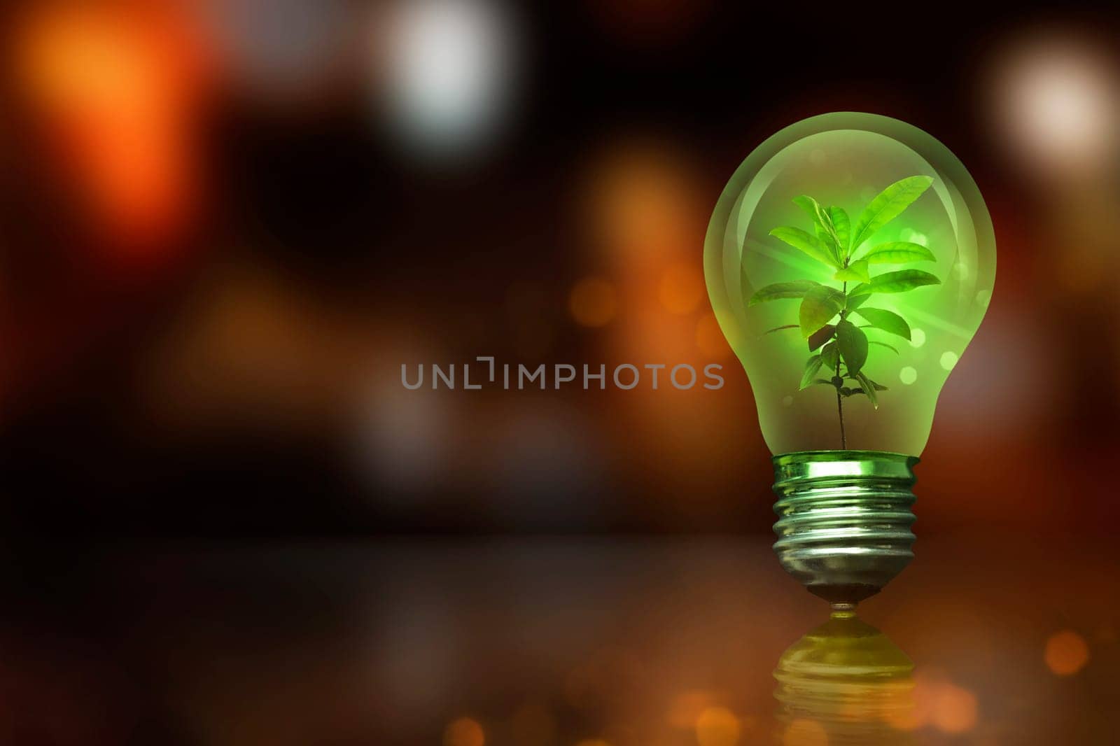 Small plant inside light bulb with blurred light. Earth Hour Concept.
