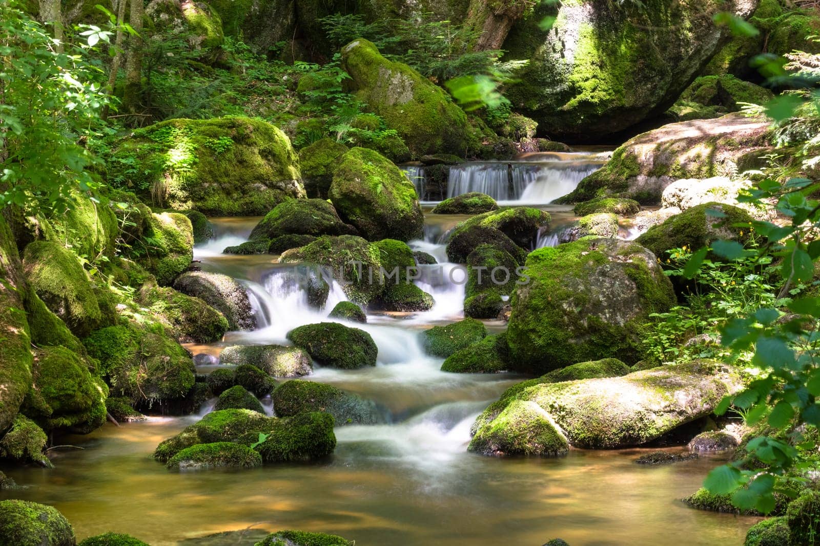 Mountain stream in the forest,waterfall with moss covered stones and long exposure