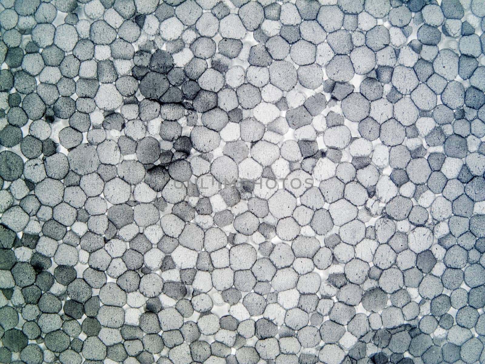 Format-filling polystyrene surface toned in grey.