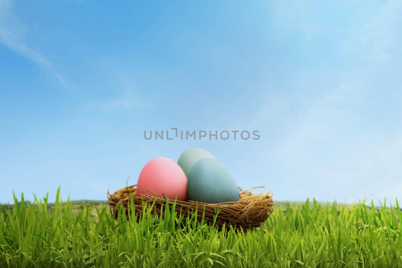 Colorful easter eggs in basket on meadow