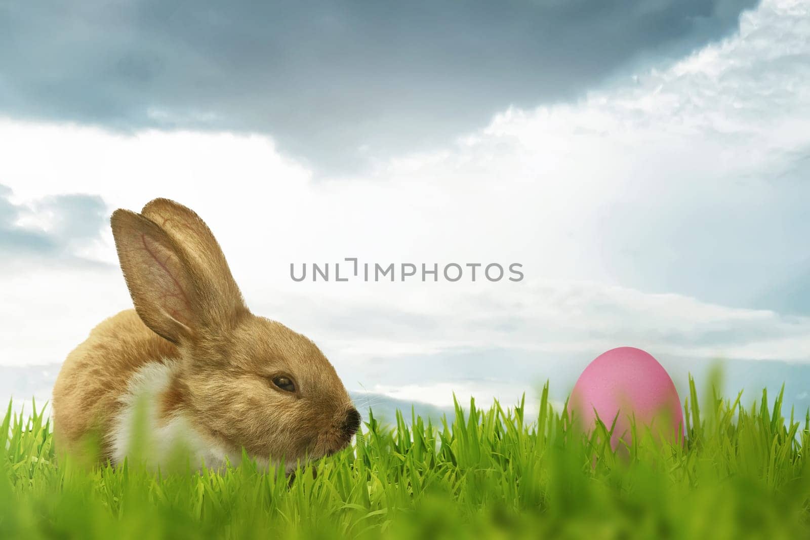 Funny rabbit with easter eggs on the day bright background