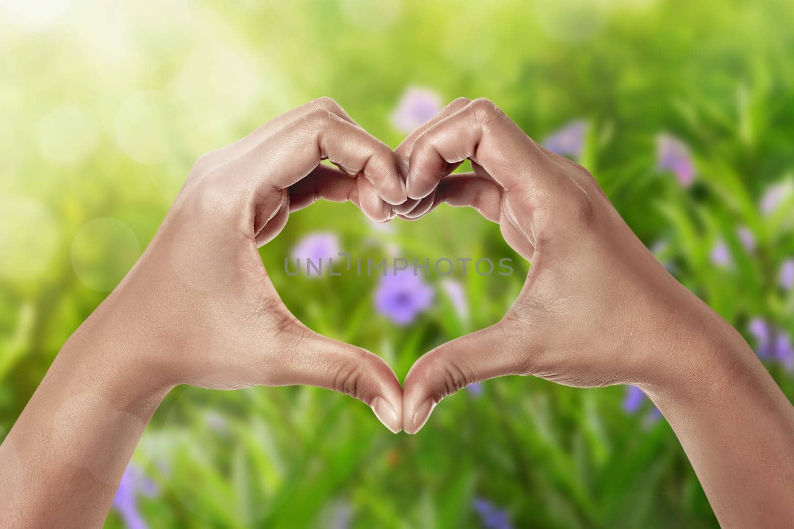 Hands in shape of love heart on green field background. Mothers Day Concept.