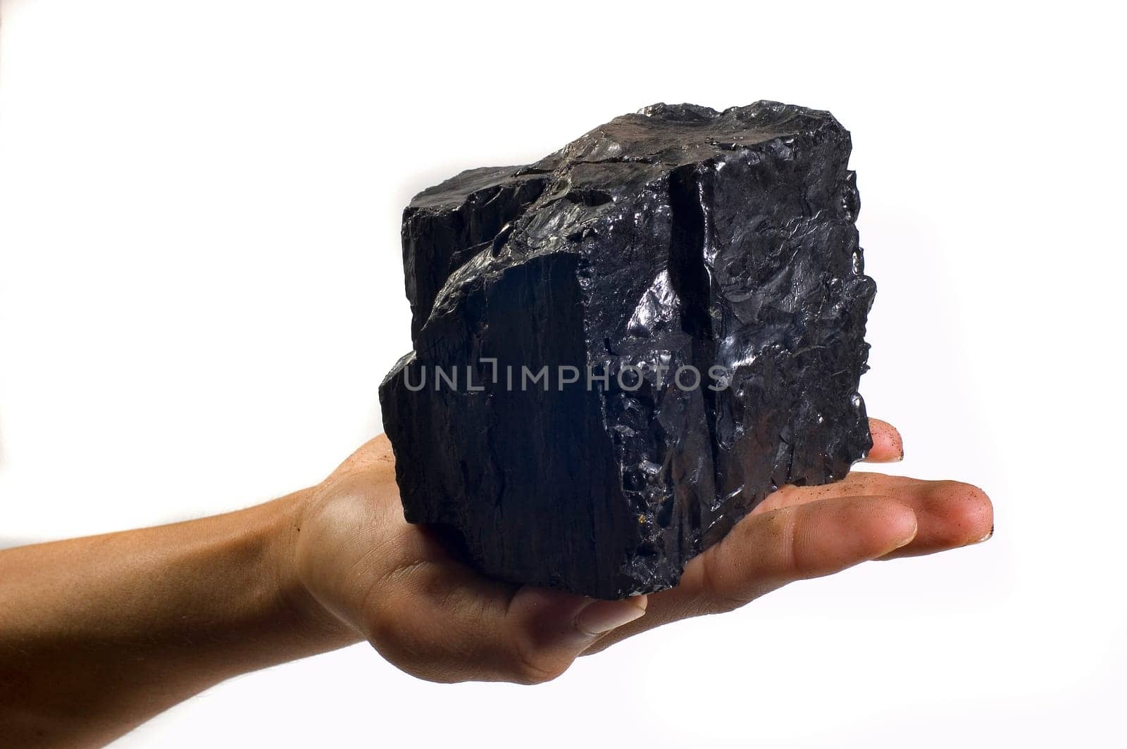 Coal on Isolated White Background