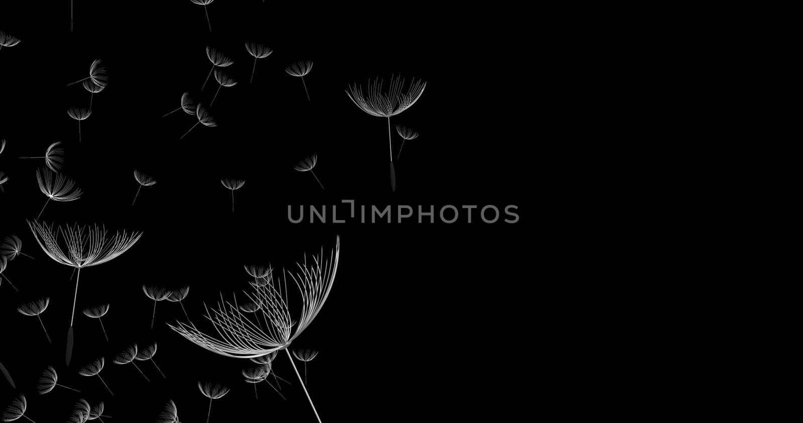 The 3d rendering of dandelion blowing silhouette. Flying blow dandel