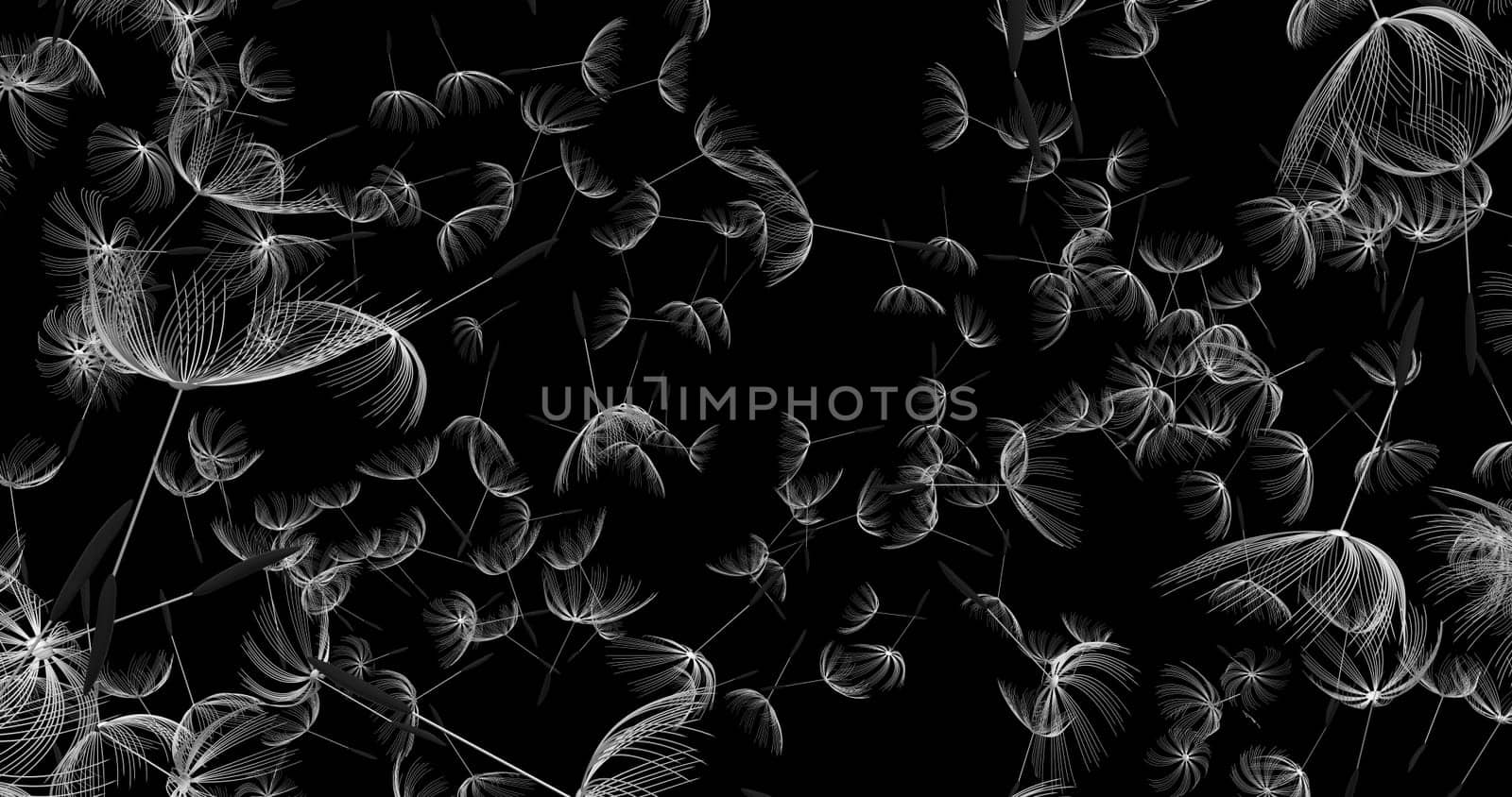 The 3d rendering of dandelion blowing silhouette. Flying blow dandel