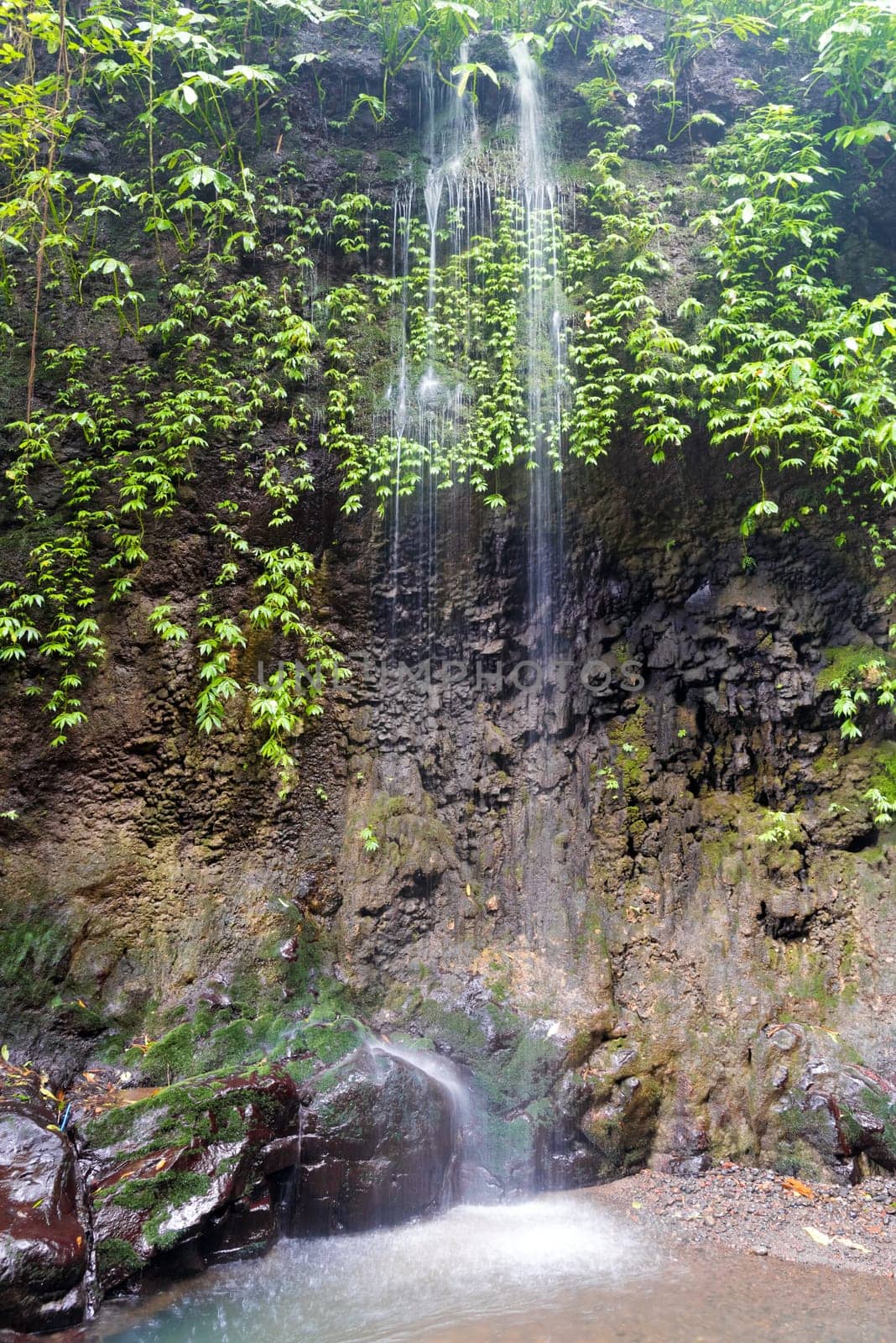 One stream of Gitgit Waterfall in Bali, Indonesia
