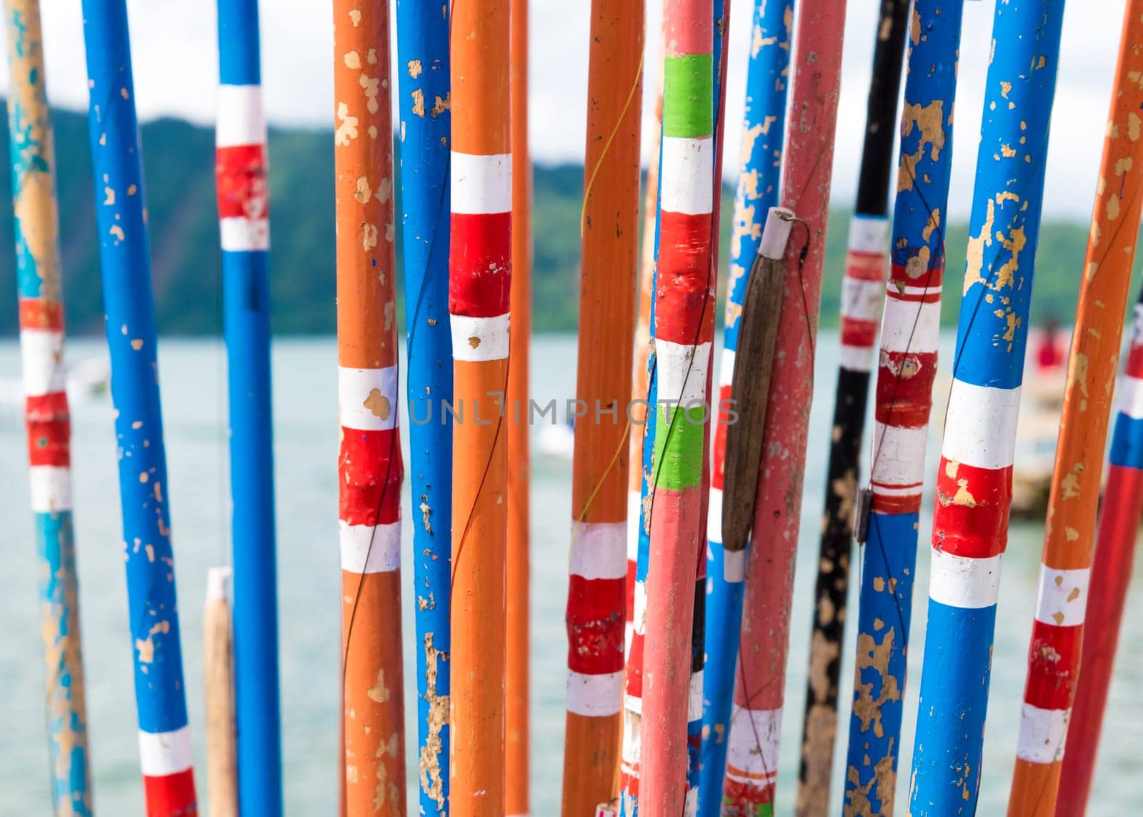 Close-up on bunch of colourful traditional bamboo fishing rods