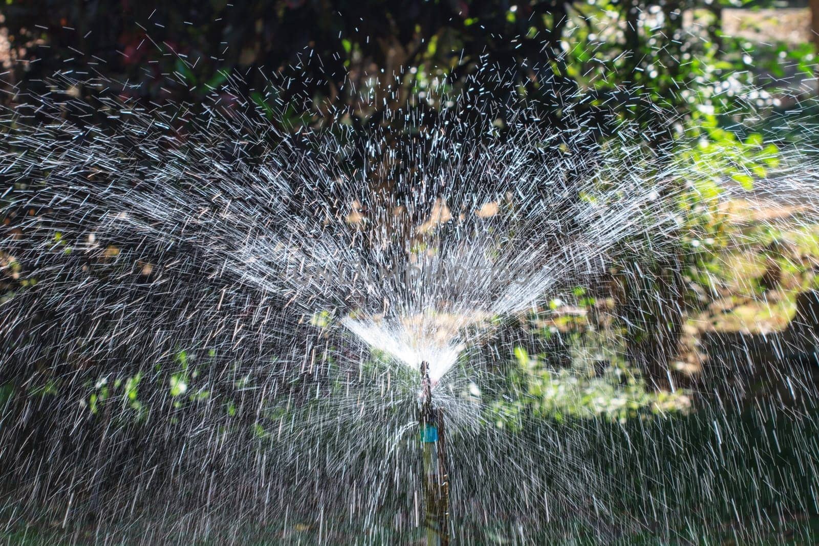 abstract irrigation of agricultural field, water sprinkler