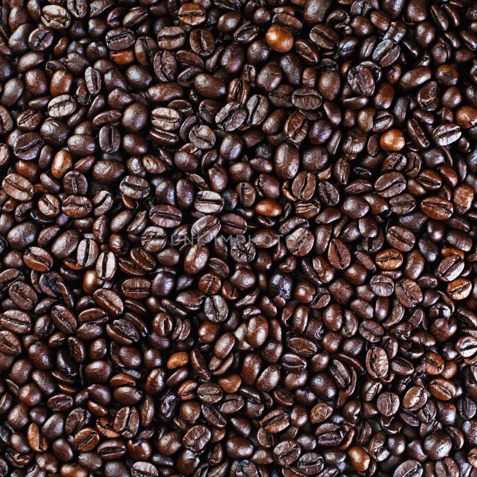 Brown coffee beans background. Coffee beans texture. Top view