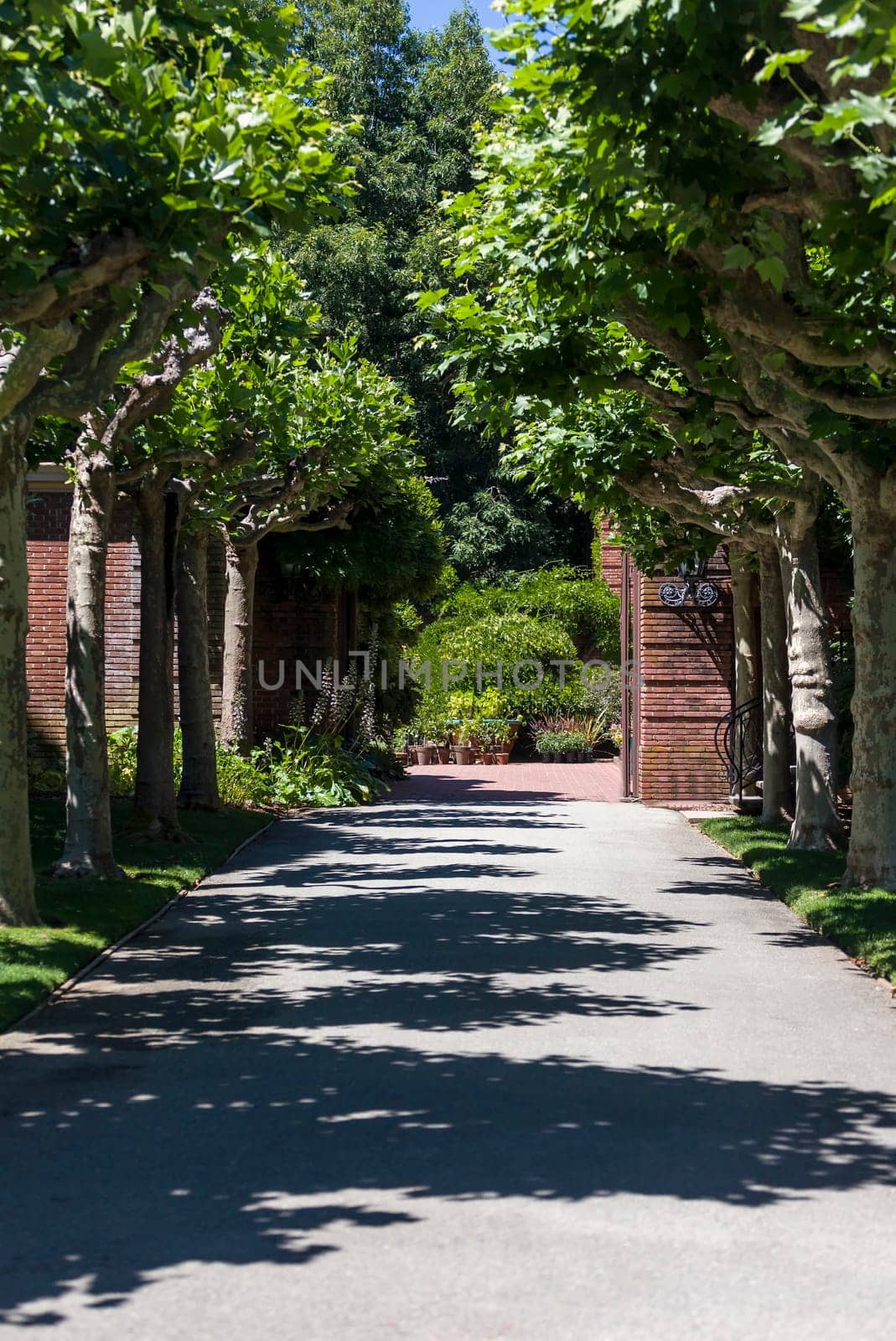 This photo was taken at a formal botanical garden near San Francisco, California. Spring had arrived, and flowers are in bloom. This image features a gravel path leading to a formal garden.