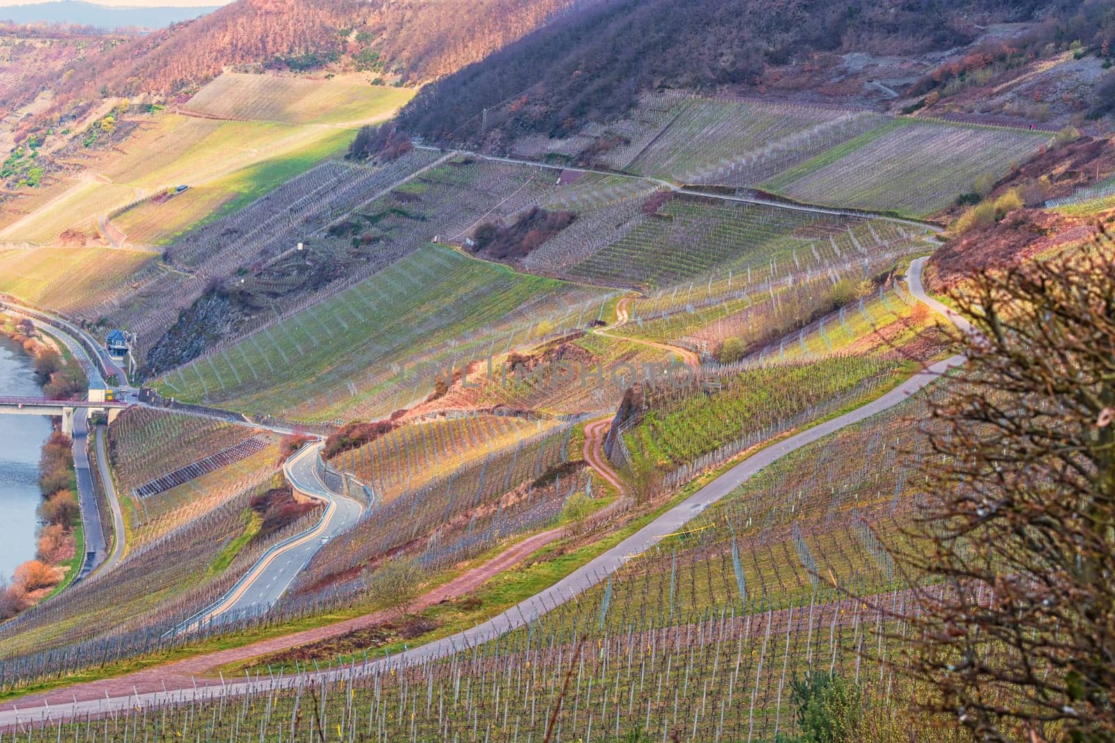 Winding road through the vineyards on the Moselle in Germany.
