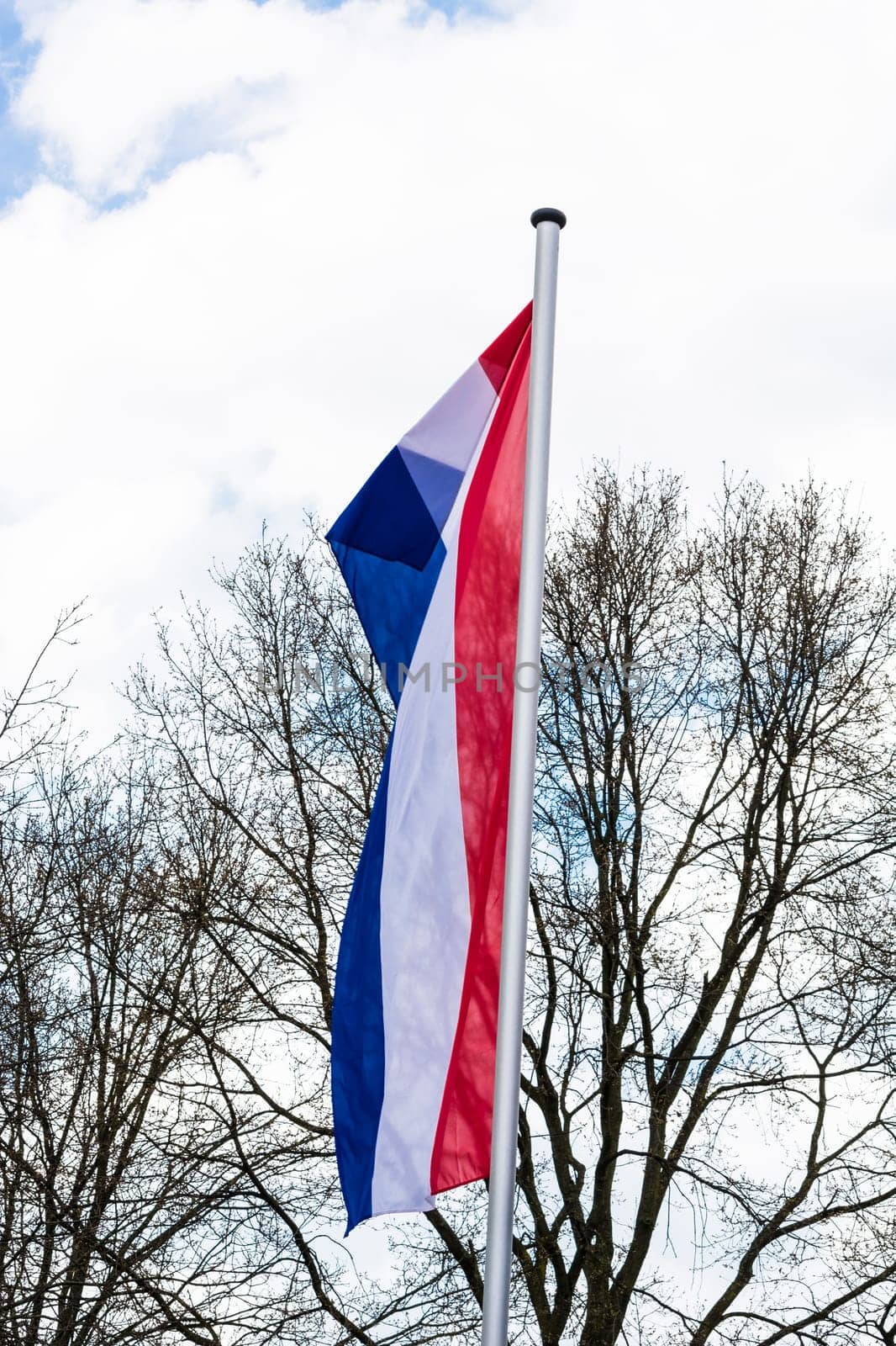 National flag of the Netherlands,Holland in portrait format with motion blur in the background.