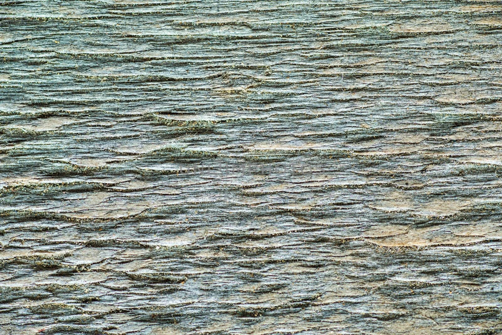 old board