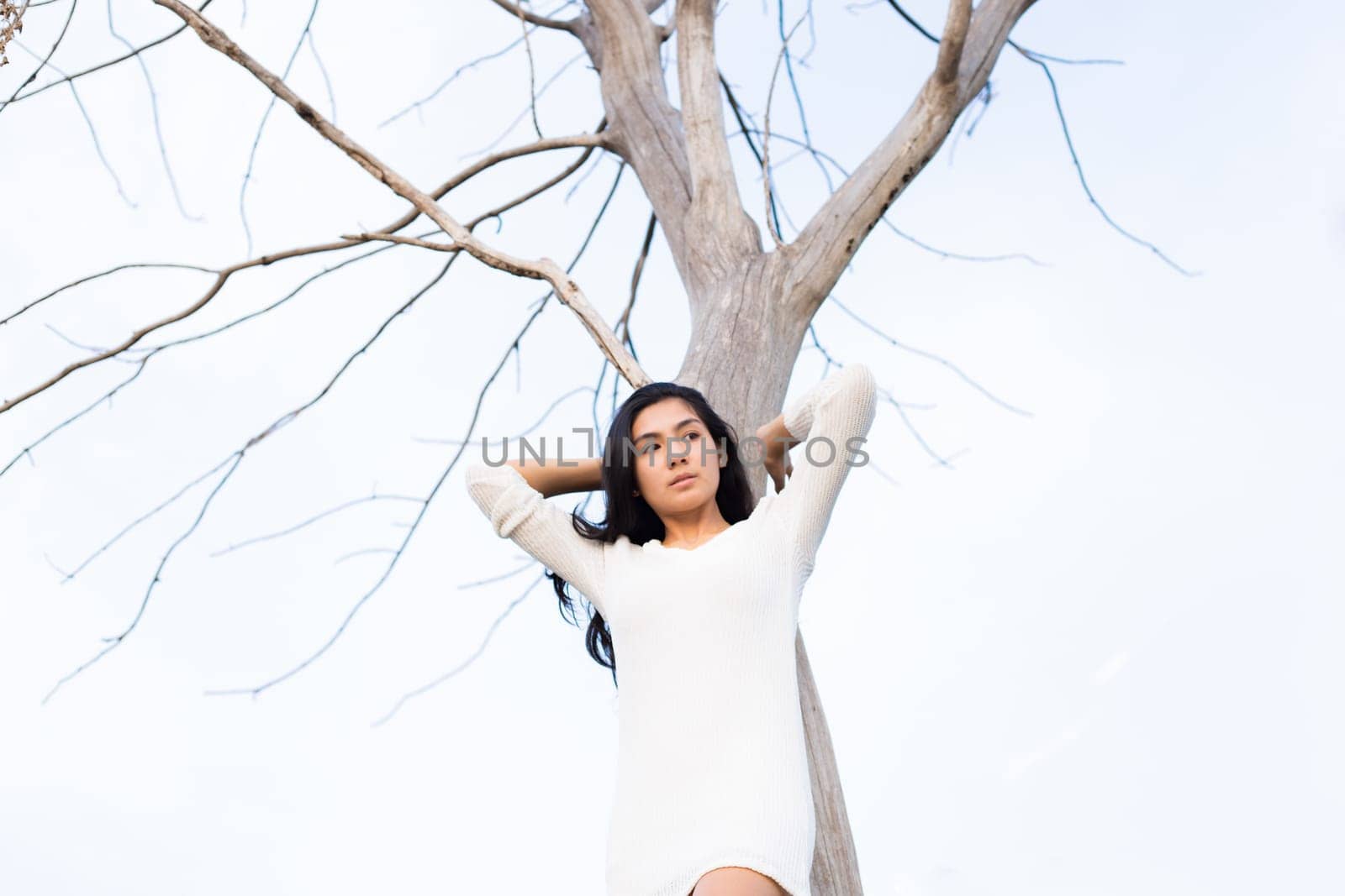 Asian woman and A bare tree with branches in corn field in evening light.