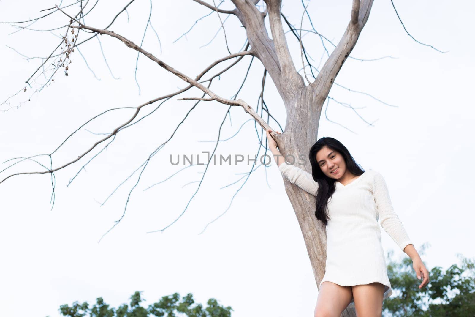 Asian woman and A bare tree with branches in corn field in evening light.
