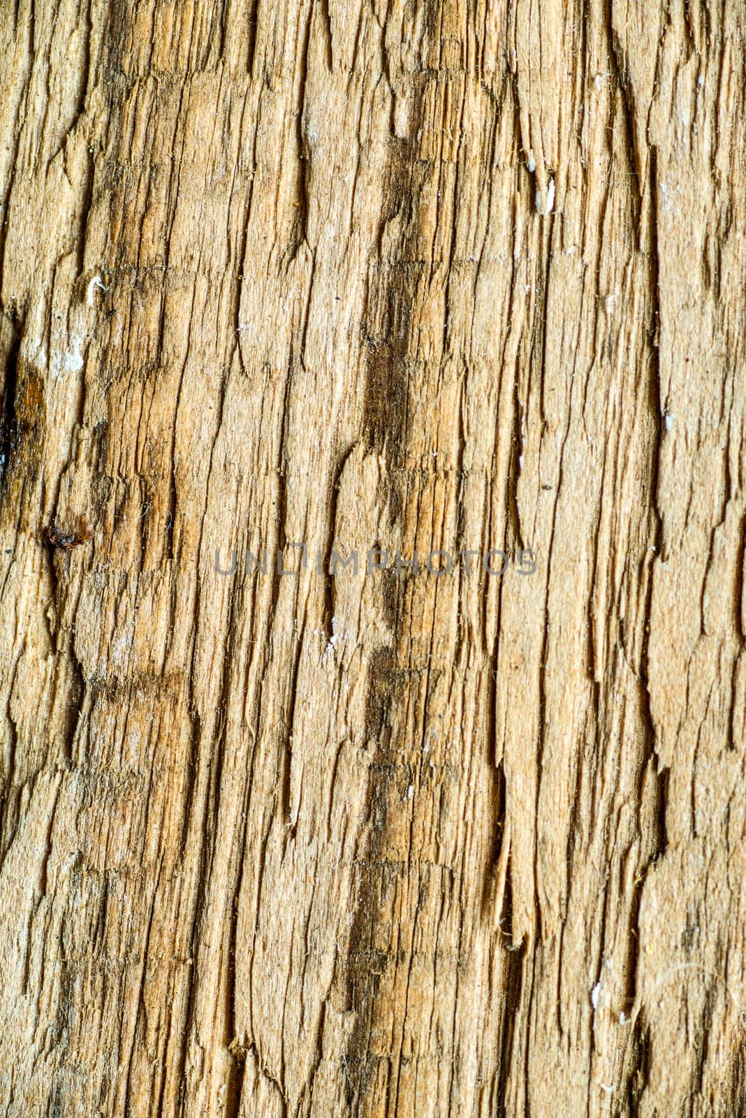 old board