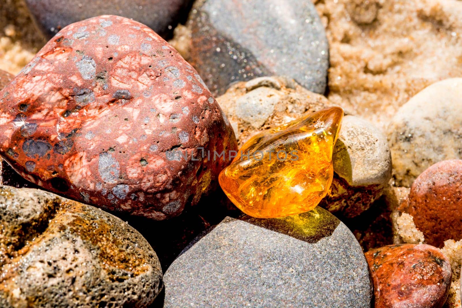 Amber on the Baltic Sea beach.