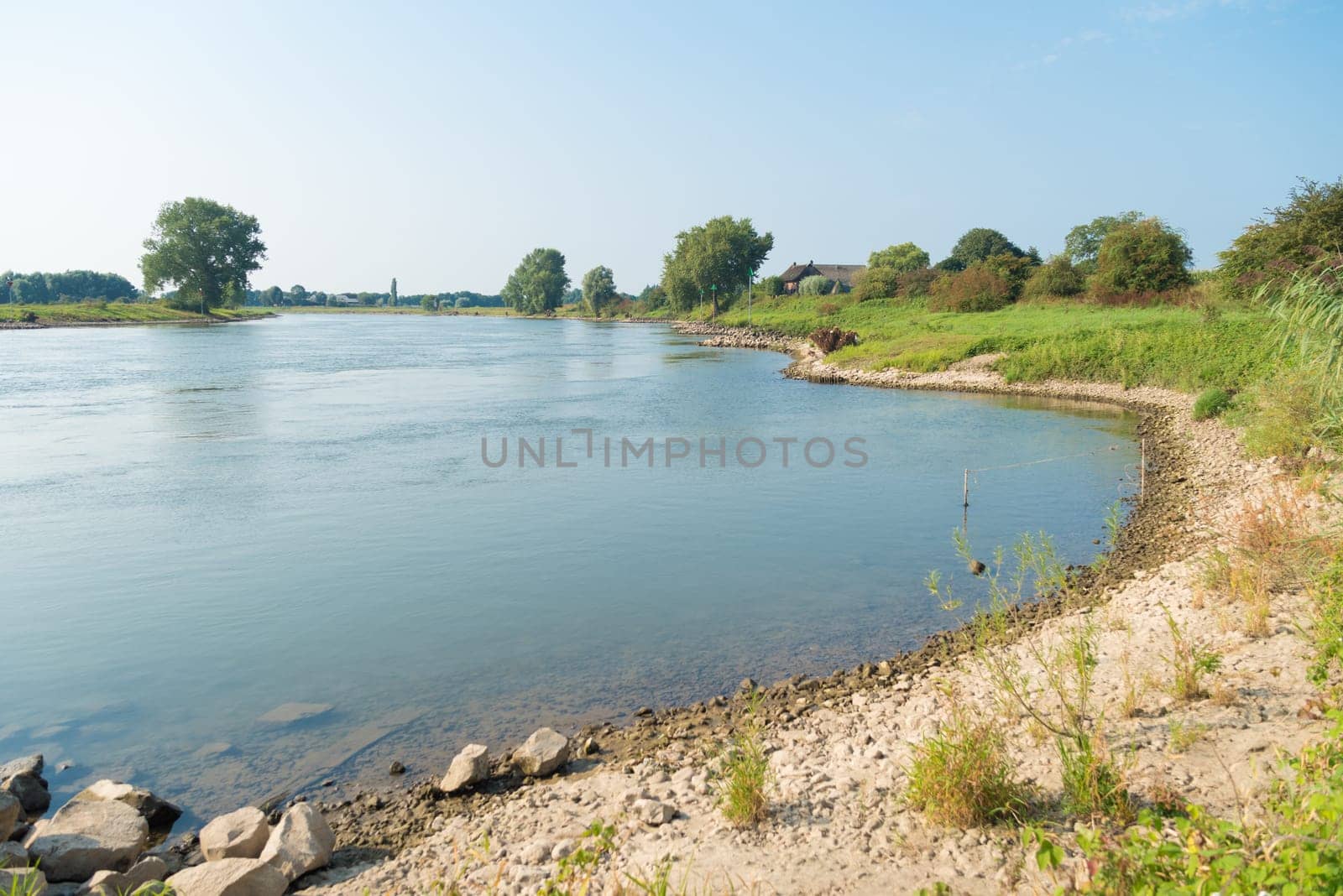shoreline of the dutch IJssel river