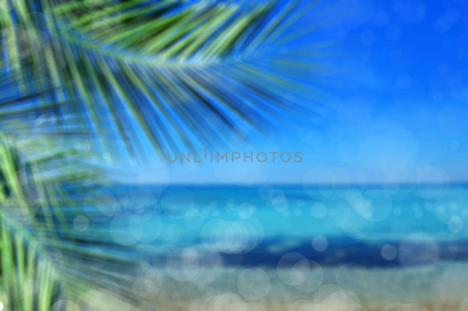 background image of palm tree and beach over sunny sky