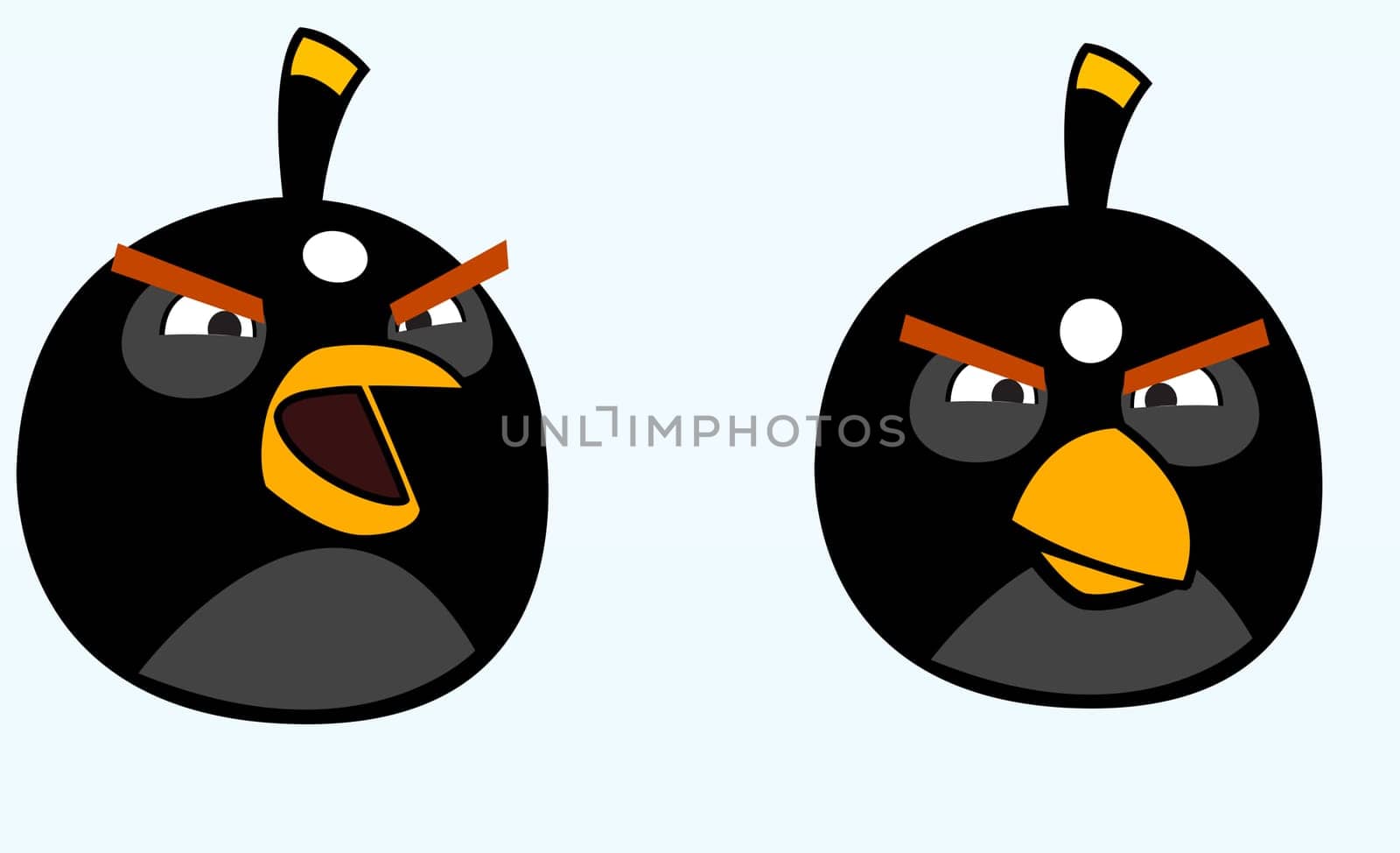 angry birdsbomb illustration black game