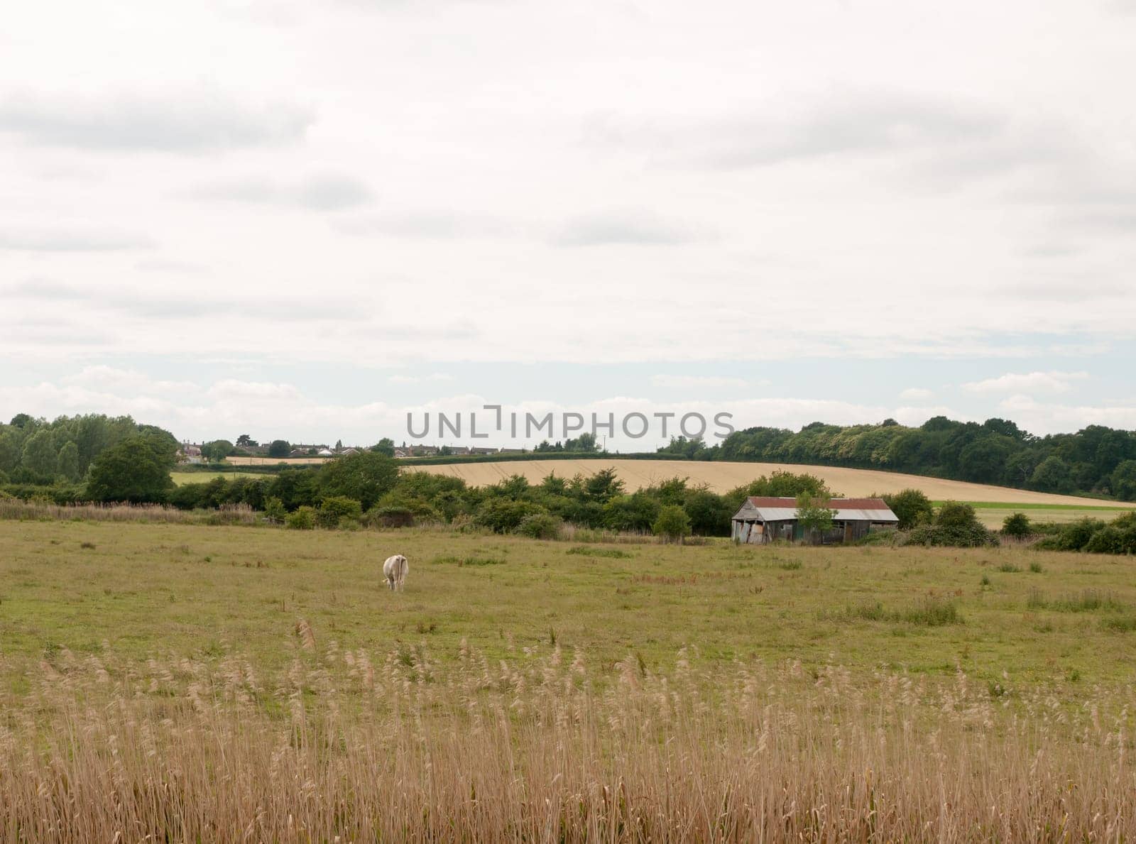 inland country scene in harwich felixstowe essex uk england no people farm